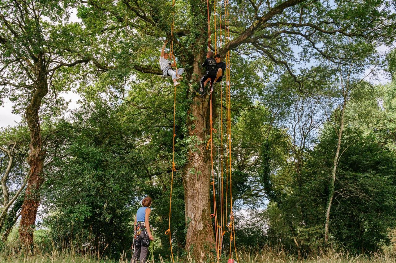 Maeva Respire Cottage De Broceliande Caro  エクステリア 写真